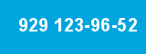 929 123-96-52